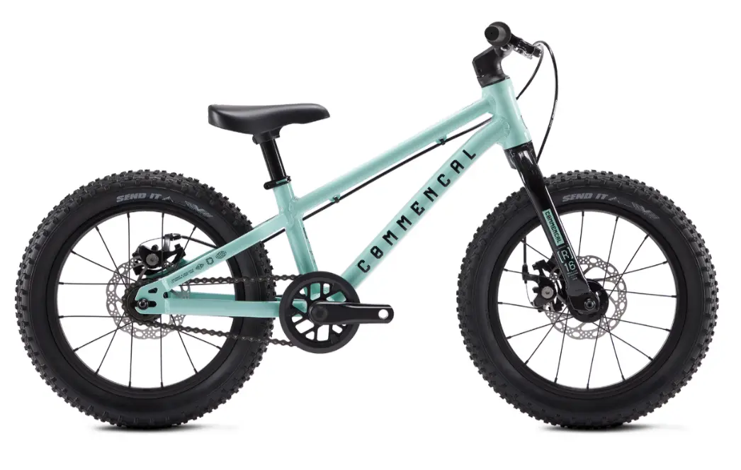 12 – ramones acqua